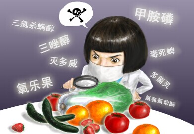 食品中有機氯農藥的測定 GPC/SPE凈化-氣相色譜法